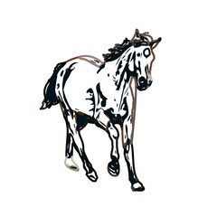 Color sketch of a horse with transparent background