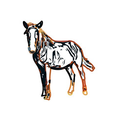 Color sketch of a horse with transparent background