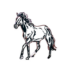 Color sketch of a horse with transparent background