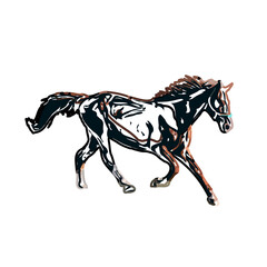 Color sketch of a horse with transparent background