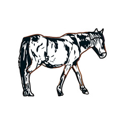 Fototapeta premium Color sketch of a horse with transparent background