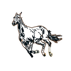 Color sketch of a horse with transparent background