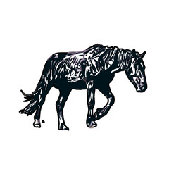 Color sketch of a horse with transparent background