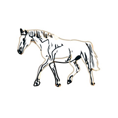 Color sketch of a horse with transparent background