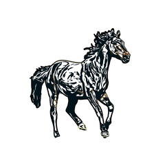 Color sketch of a horse with transparent background