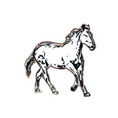 Color sketch of a horse with transparent background