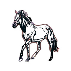 Color sketch of a horse with transparent background