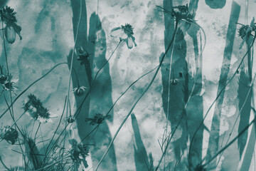 Old style flower art with large shadows and blue grunge texture background.