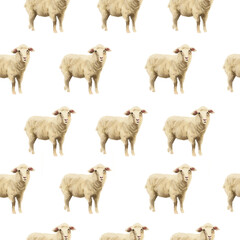 PNG, seamless pattern of handdrawn sheep illustration PNG image