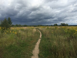 Country road on meadow in summer with heavy clouds just before rainstorm starts