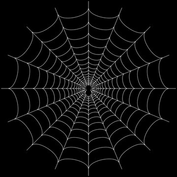 Black big scary spider sitting center of web. Spooky Halloween decoration element for your design. Silhouette of a tarantula spider. Animal clipart vector design illustration.