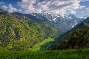 Logarska valley (Logarska dolina) near Solcava, Slovenia, Europe © Rechitan Sorin
