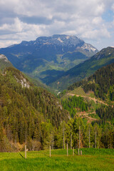 Beautifull Logar valley or Logarska dolina park, Slovenia, Europe  © Rechitan Sorin