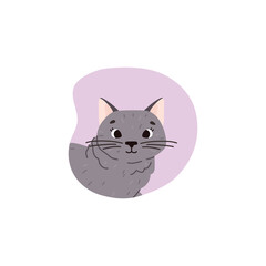 Vector illustration isolated of Cute hand drawn British horthair cat breed, cartoon pets characters on lilac background