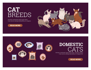 Set of website banner templates about various cat breeds flat style