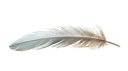 Fototapeta na wymiar Bird feather on white background. Beautiful bird plumage or wing element, isolated smooth feather. Generated AI.
