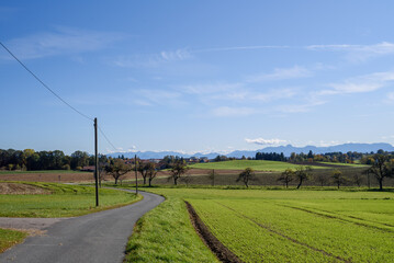 road in the field