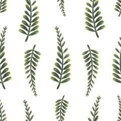 Fern seamless pattern watercolor illustration. Hand drawing isolated on white background. Template for your design, products, menu, cafes, bags, postcards, textile.