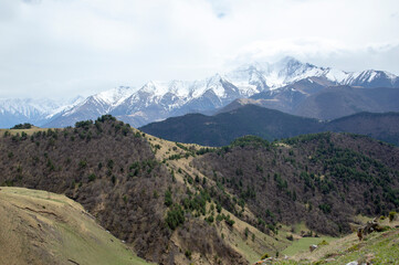 Ingushetia, Russia. Aerial beautiful summer landscape of Caucasus mountain. Travel nature panorama