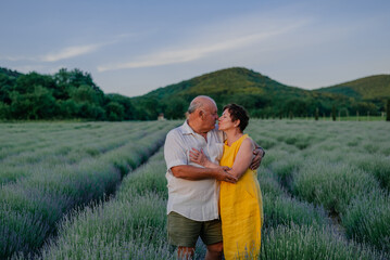 portrait of an elderly couple in love man and woman in the summer on a lavender field