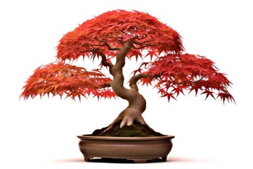 Japanese maple bonsai tree. Generative AI - obrazy, fototapety, plakaty