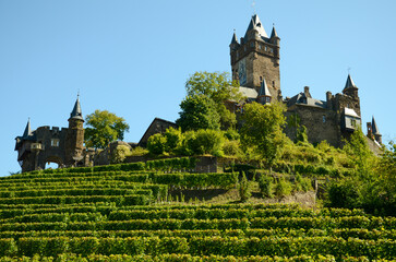 Reichsburg Cochem in Hunsrück lies on the green vineyards under blue sky with all its castle towers