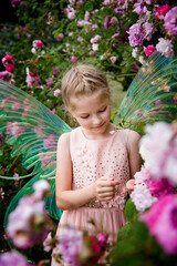 little beautiful girl in a fairy costume of butterfly  with wings having fun in roses garden on sunny summer day