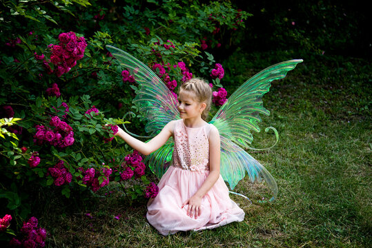 little beautiful girl in a fairy costume of butterfly with wings sitting on the grass in roses garden on sunny summer day 