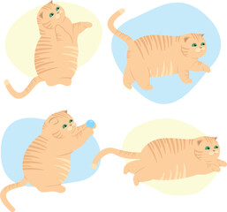 Cute cats. Vector illustration of funny fat cats