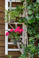 decorative wooden wall in a garden with flowers and plants