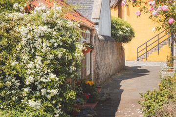 Charming and quaint old town lane and colourful harling cottages in the medieval village of Culross, a popular filming location in Fife, Scotland, UK.