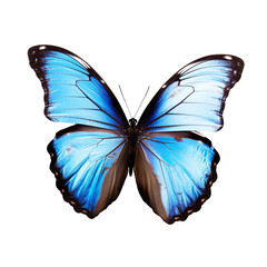 Beautiful butterfly isolated.Morpho.blue butterfly.Moth. AI Generated