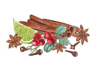Cinnamon sticks, red huckleberry, line slice, pine needles, cloves, star anise isolated on transparent background. Watercolor botanical illustration for the design of cards, package design, labels