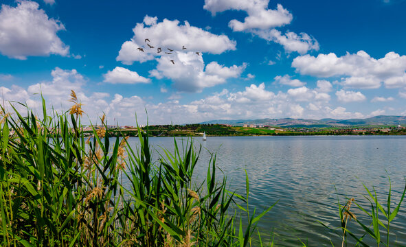Beautiful scenery of Lake Mogan | Golbasi behind the reeds in a cloudy hot summer day in Ankara. 