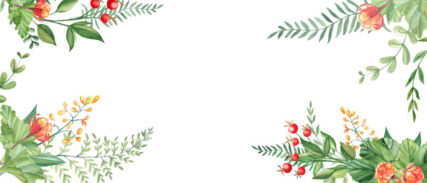 Cloudberries, green twigs, red berries, yellow wildflowers. Watercolor horisontal banner, frame. Botanical illustration. Perfect as a card and invitation template.