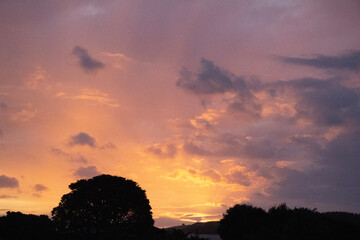 sunset over the field