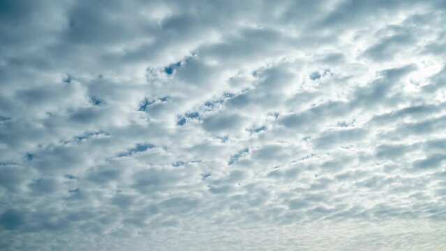 White altocumulus clouds in the rays of the morning sun. The movement of fluffy clouds crossing the blue sky. Summer timelapse.
