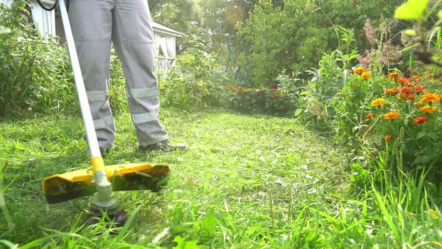 a man mows the grass with a grass trimmer