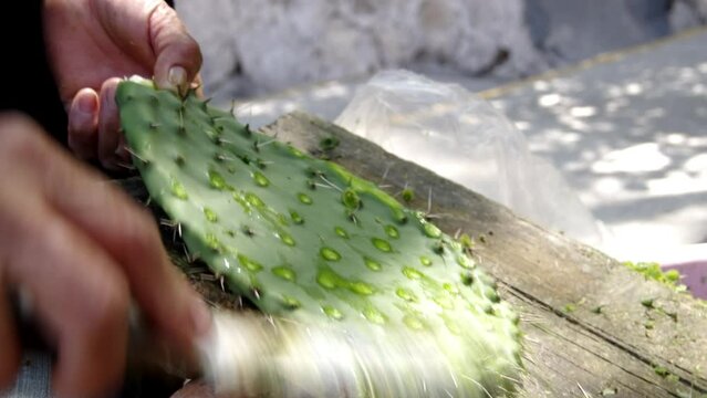 a peasant woman in Hidalgo state, cleans a prickly pear cactus with a knife
