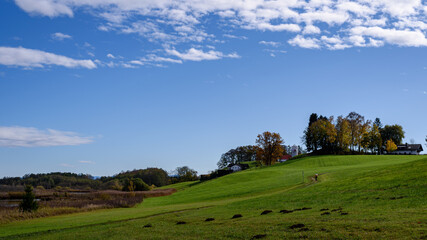 Obraz premium landscape with trees and sky