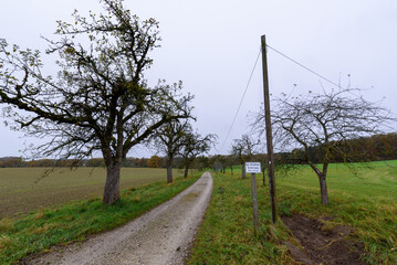 road in the countryside