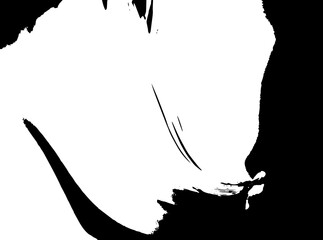 Rustic splash vector texture. Abstract background. Weathered surface and shape. Dirty and damaged backdrop. Vector graphic illustration with transparent white. EPS10.