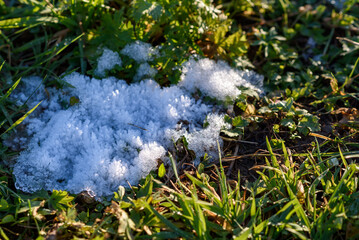 snow in the grass