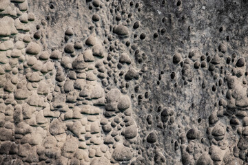 Natural of sandstone texture background. shells and voids in stone. The natural surface of the sandstone wall