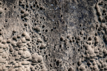 Natural of sandstone texture background. shells and voids in stone. The natural surface of the sandstone wall