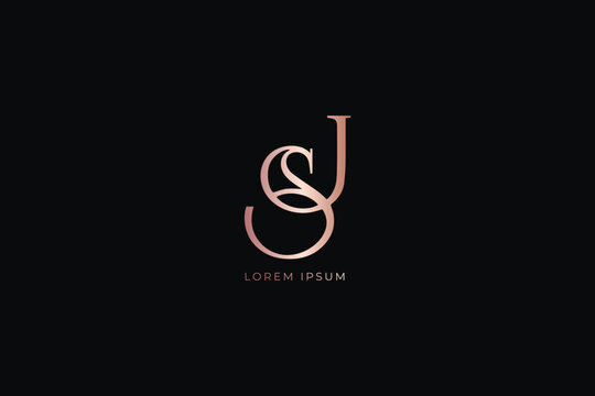 Letter js fashion brand design modern style creative golden wordmark design typography illustration, js rose gold lettering, js luxury logo