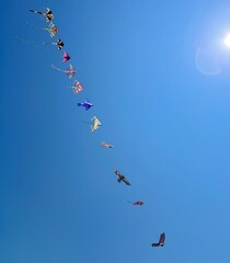 kites on the sky and sun reflection