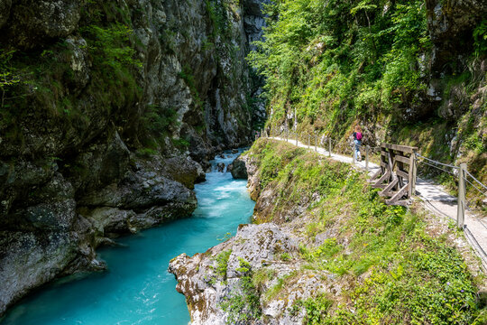 Steep rocky slopes of slovenian Alps, covered in dense forest, towering over beautiful Soca river gorges near the town of Tolmin