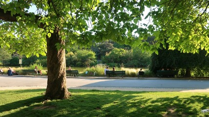 Arbre, pelouse, allée et bancs au bord du lac du parc Montsouris, grand jardin public dans le 14ème arrondissement de la ville de Paris (France)