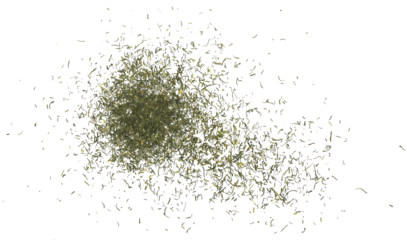 Dry, chopped dill isolated on white background and texture, top view 